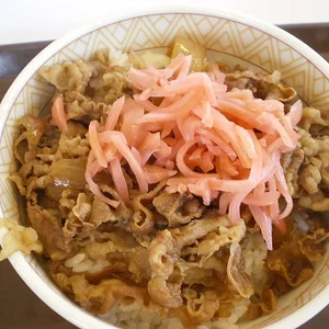 Beefbowl - Gyudon -