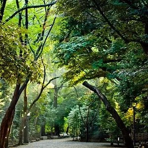 Yasukuni Shrine Park
