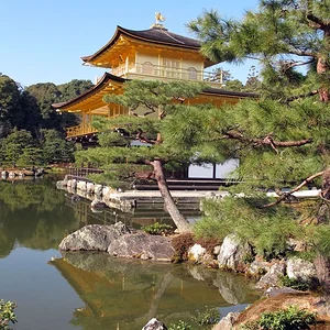 Kinkaku-ji (t) in winter