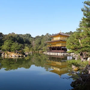 Kinkaku-ji (t) in winter