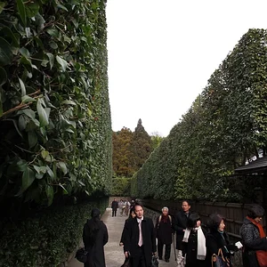 Ginkaku-ji Temple