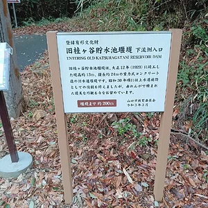 IMG_20230219_145701.jpg