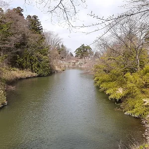 20230327_100745.jpg