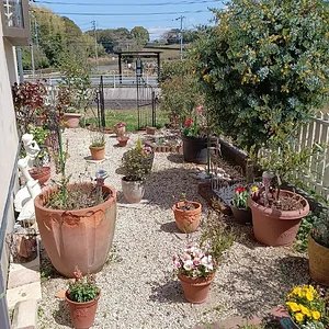 IMG_20230328_120135.jpg