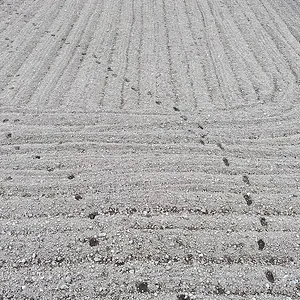 tracks.JPG
