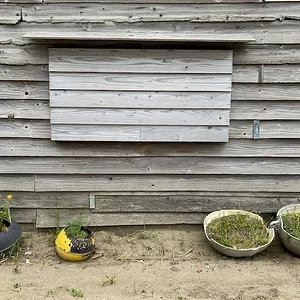 wood window.JPG