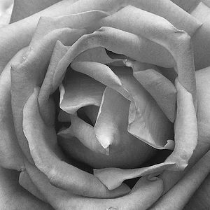 B&W.JPG