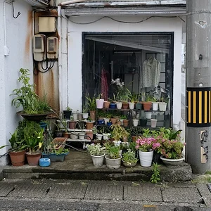 window.JPG