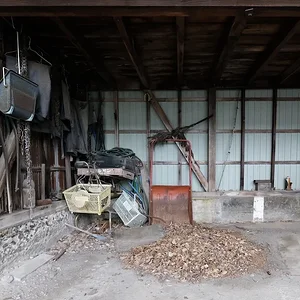 detritus.JPG