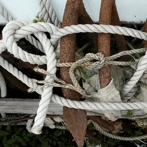 anchors-ropes.JPG