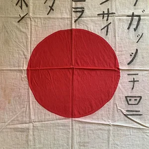 japan flag mockup.jpeg