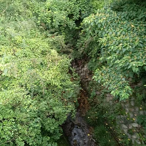 IMG_20230704_073638.jpg