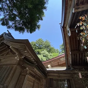 skywards.JPG