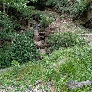 IMG_20230708_134344.jpg