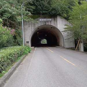 IMG_20230709_071914.jpg
