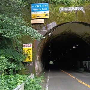 IMG_20230709_083242.jpg