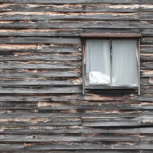 window.JPG