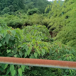IMG_20230714_105838.jpg