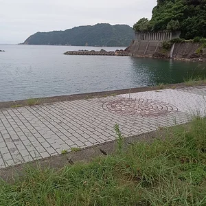 IMG_20230714_173808.jpg