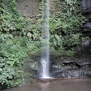 fall 1:8sec.JPG