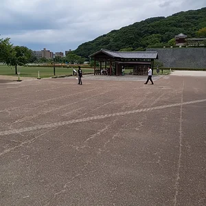 IMG_20230719_122541.jpg