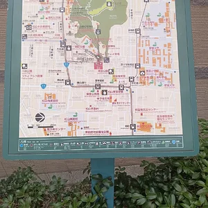 IMG_20230719_125124.jpg