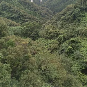 IMG-20230715-WA0000.jpeg