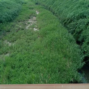 IMG-20230717-WA0003.jpeg