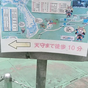 IMG-20230719-WA0005.jpeg