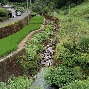 IMG-20230714-WA0000.jpeg