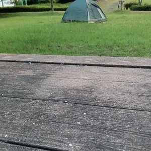 IMG-20230703-WA0022.jpeg