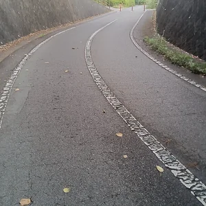IMG-20230629-WA0012.jpeg