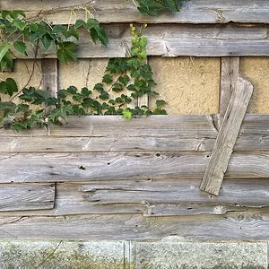 wall.JPG
