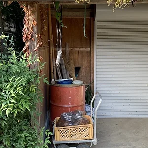 cart.JPG