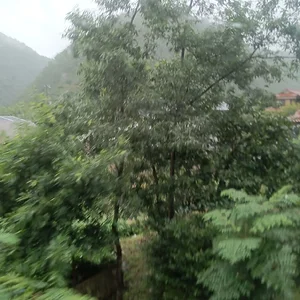 IMG_20230815_160917.jpg
