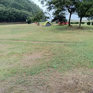IMG_20230816_093811.jpg