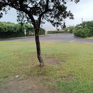 IMG_20230816_093827.jpg