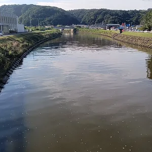 IMG_20230818_073949.jpg