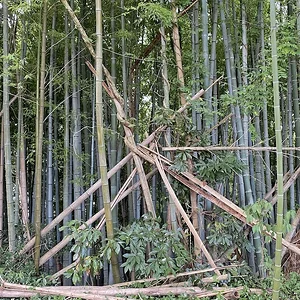criss-cross.JPG