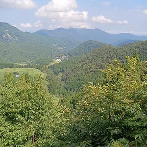 IMG_20230821_095922.jpg