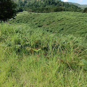 IMG_20230820_092408.jpg