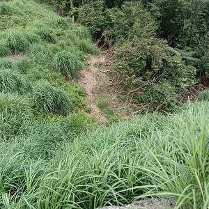 IMG_20230820_091130.jpg