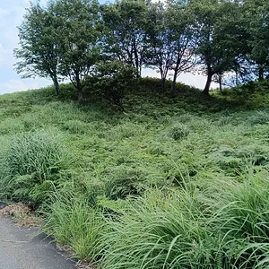 IMG_20230820_091023.jpg