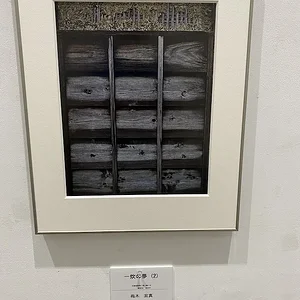 exhibit 1.JPG