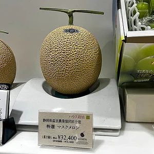 muskmelon01.jpg