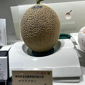 muskmelon02.jpg