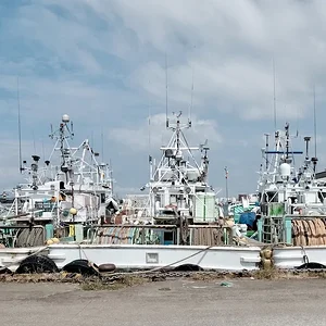 boats.JPG