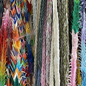 cranes.JPG