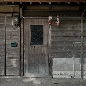 door, onions.JPG