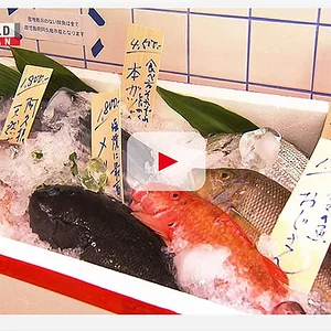 nhk-unused-fish.jpg